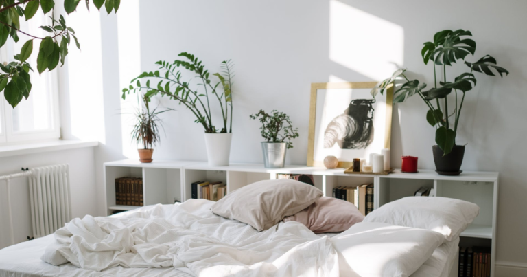 plantes apaisantes chambre