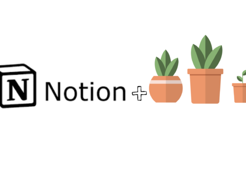 Notion : un allié pour les plantes d’intérieur