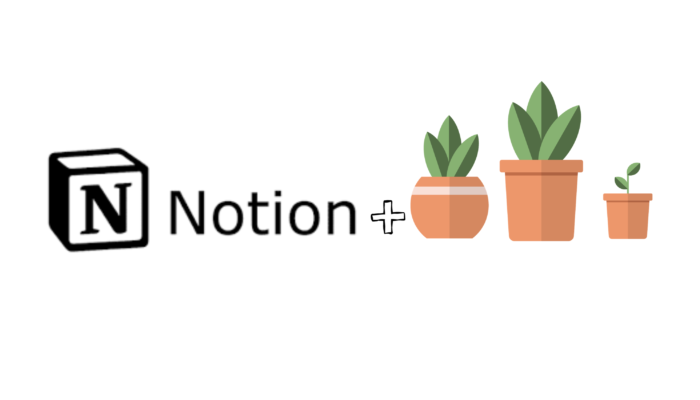 Notion : un allié pour les plantes d’intérieur